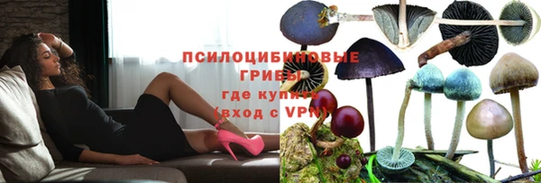 твердый Переславль-Залесский