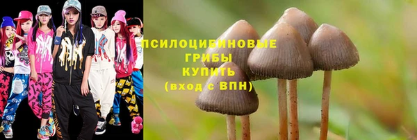 спайс Алзамай