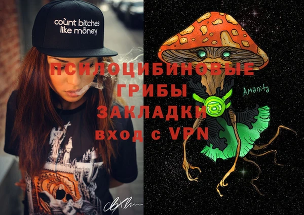 шишки Абдулино