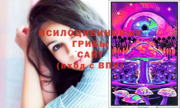 твердый Переславль-Залесский
