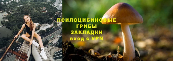 спиды Пестово