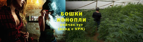 твердый Переславль-Залесский